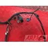 Faisceau électrique principale899DE-266-CXh3-G0333939used