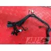 Faisceau électrique principale899DE-266-CXh3-G0333939used