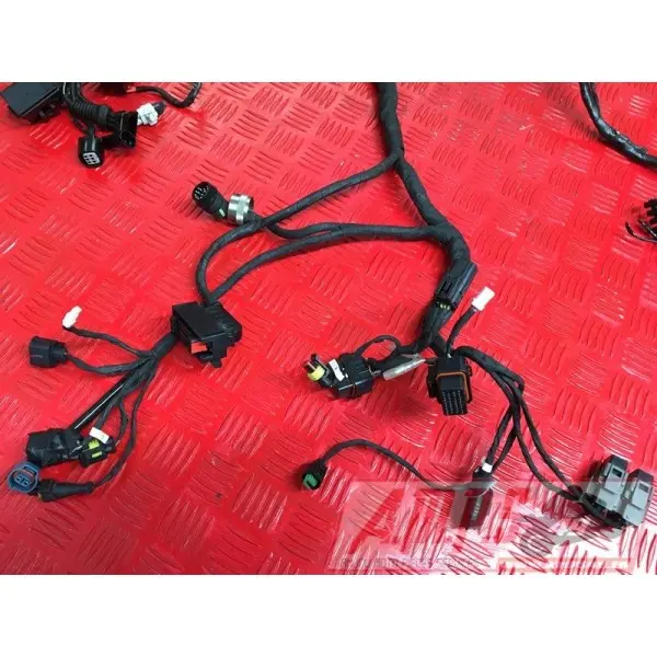 Faisceau électrique principale899DE-266-CXh3-G0333939used