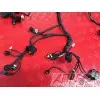 Faisceau électrique principale899DE-266-CXh3-G0333939used