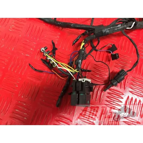 Faisceau électrique principale899DE-266-CXh3-G0333939used