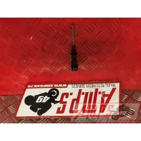 Jauge de niveau d'huile