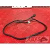 Cable de masseDUKE12513CV-435-RQH4-D4334622used