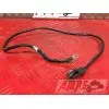 Cable de masseDUKE12513CV-435-RQH4-D4334622used