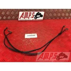 Durite de frein arriereDUKE12513CV-435-RQH4-D4334669used