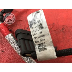 Faisceau secondaire Ducati Panigale V4 S 2018 2019