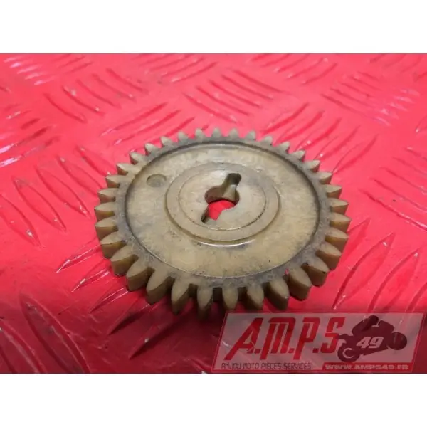 Pignon de pompe a eau