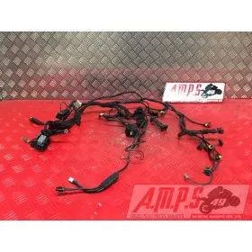 Faisceau électrique principalMULTI620IE335566used