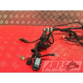 Faisceau électrique principalMULTI620IE335566used