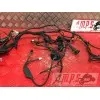 Faisceau électrique principalMULTI620IE335566used