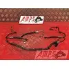 Kit de durite freinXJ612CM-935-GJB4-B1339664used