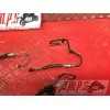 Kit de durite freinXJ612CM-935-GJB4-B1339664used
