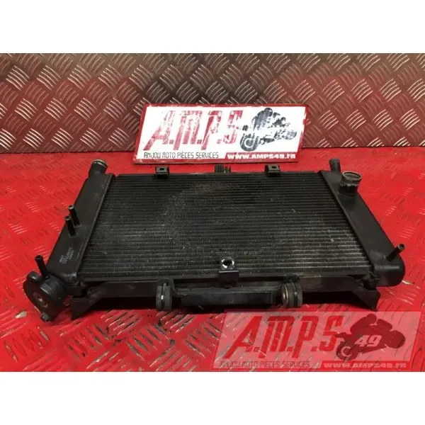 Radiateur d'eauXJ612CM-935-GJB4-B1339572used