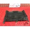 Radiateur d'eauXJ612CM-935-GJB4-B1339572used