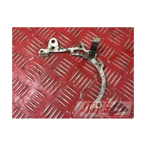 Deflecteur de chaine RSV4 Factory 2009 à 2011