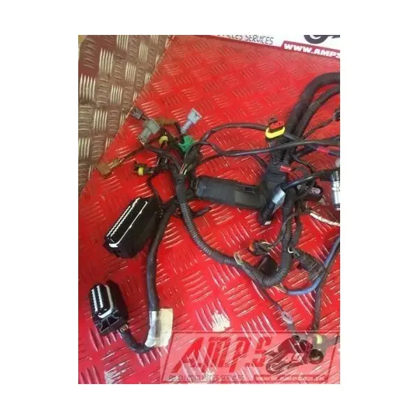 Faisceau moteur RSV4 R 09 10 11 12
