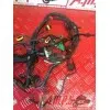 Faisceau moteur RSV4 R 09 10 11 12