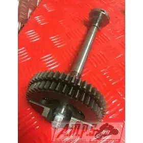 Pignon + axe équilibreur rsv4 r 09 10 11 12