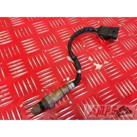 Sonde lambda RSV4 09 10 11