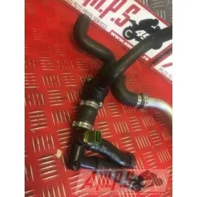 Durite avec carlostat RSV4 R 2009 - 2011