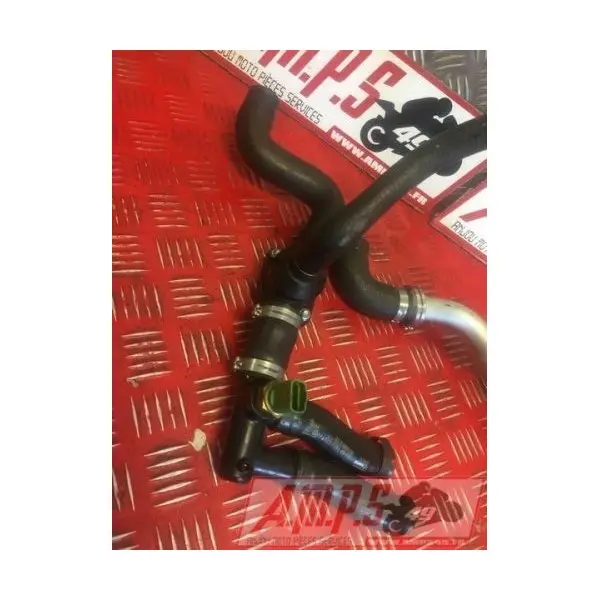 Durite avec carlostat RSV4 R 2009 - 2011