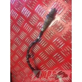 Sonde Lambda RSV4 R 2009 - 2011