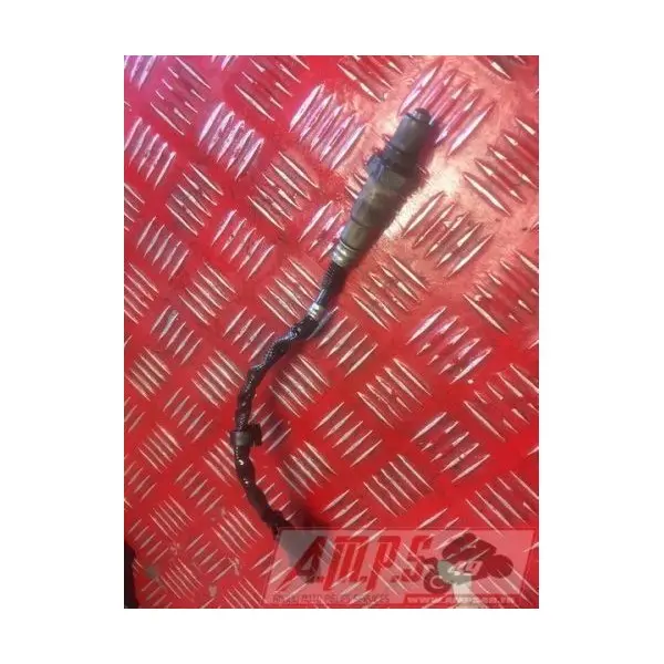 Sonde Lambda RSV4 R 2009 - 2011
