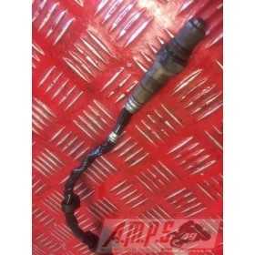 Sonde Lambda RSV4 R 2009 - 2011