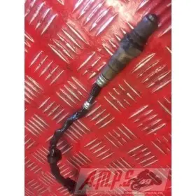 Sonde Lambda RSV4 R 2009 - 2011