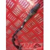 Sonde Lambda RSV4 R 2009 - 2011