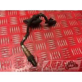 Sonde lambda RSV4 Factory 2009 à 2011