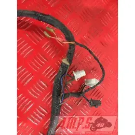 Faisceau électrique principale