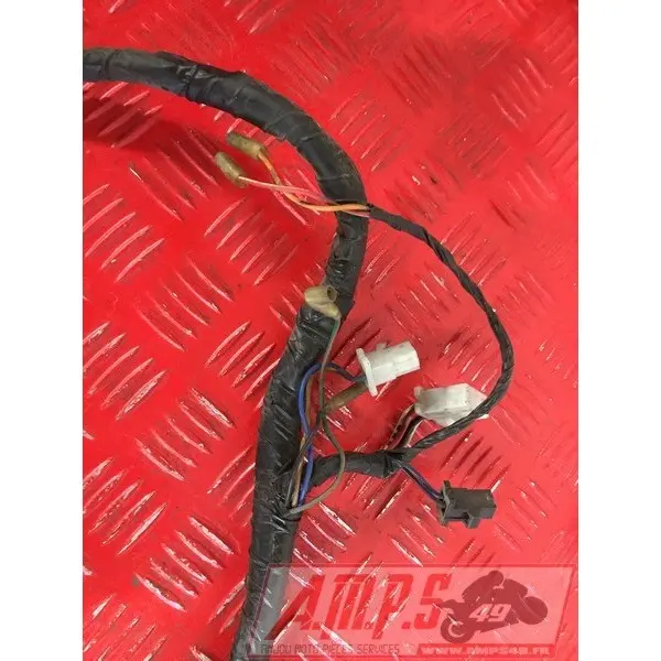 Faisceau électrique principale