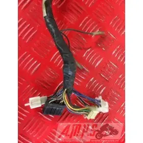 Faisceau électrique principale