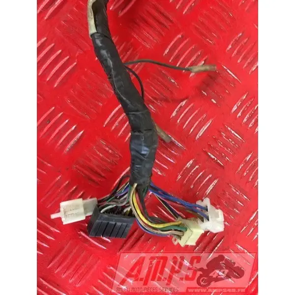 Faisceau électrique principale