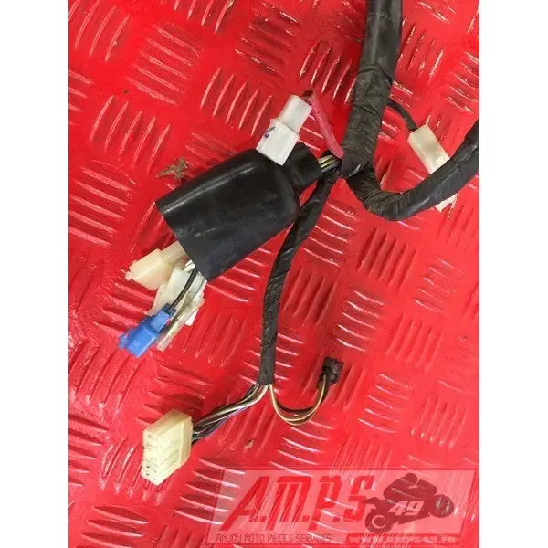 Faisceau électrique principale