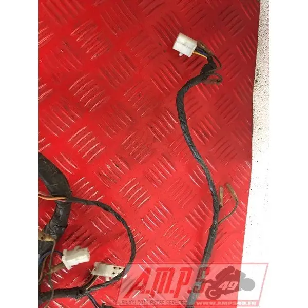 Faisceau électrique principale