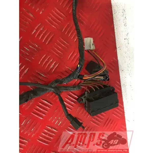 Faisceau électrique principale