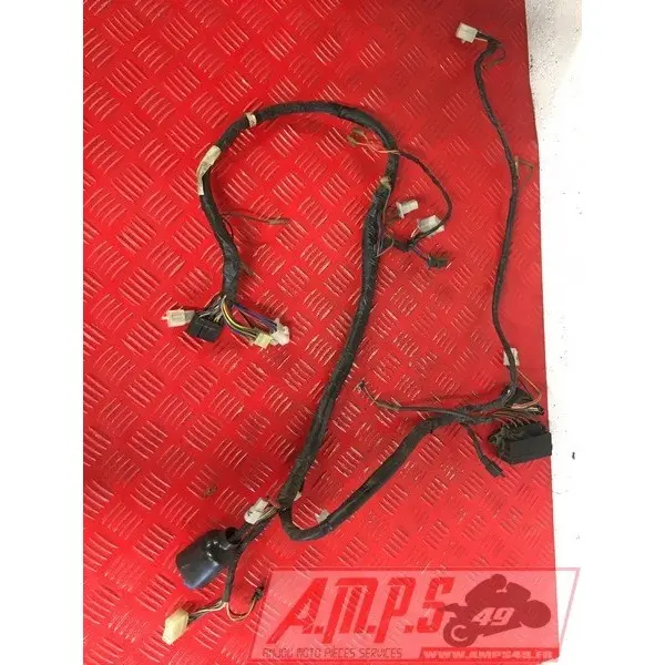 Faisceau électrique principale