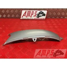 Cache ceentrale sur reservoirMONSTER69608BB-250-PVH3-B6342439used