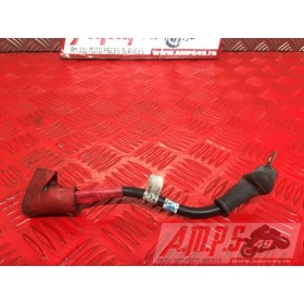 Cable de batterie Ducati 696 Monster 2007 - 2015