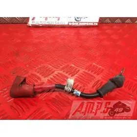 Cable de batterieMONSTER69608BB-250-PVH3-B6342480used