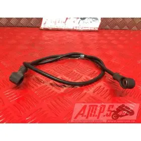 Cable de masse 2MONSTER69608BB-250-PVH3-B6342478used