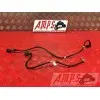Cable de masseSTREET76517EQ-759-PFH2-A5342660used