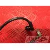 Cable de masseSTREET76517EQ-759-PFH2-A5342660used