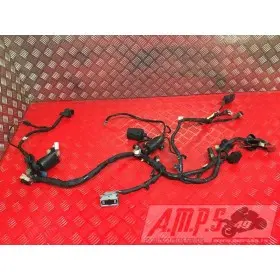 Faisceau électrique principaleXJ614DC-642-JPB4-A3342837used