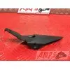 Protection de chaine95916EF-848-JAH3-G2343183used