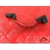 Cable de batterie Yamaha YZF 600 R ThundercatYZF600R97AS-471-JG343422used