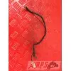 Cable de masse Yamaha YZF 600 R ThundercatYZF600R97AS-471-JG343434used