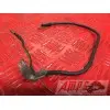 Cable de masse Kawasaki ZR-7 1999 à 2004ZR7994878XS17B3-F1343592used